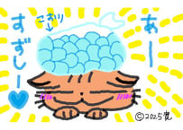 目が大きい猫の、あー涼しい　熱中症対策