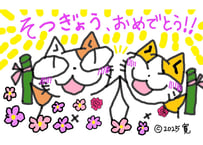 目が大きい猫の、そつぎょう、おめでとう