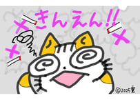 目が大きい猫の、きんえん