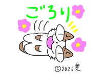 目が大きい猫の、ごろり