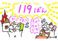 目が大きい猫の、１１９ばん