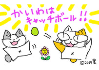 目が大きい猫の、かいわはキャチボール