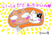 目が大きい猫の、いっしょだとあったかいね