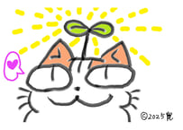 目が大きい猫の、新芽１