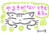 目が大きい猫の、やるきがないときもある