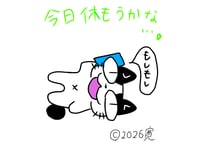 目が大きい猫の、今日休もうかな