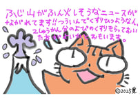目が大きい猫の、富士山噴火　アドバイス