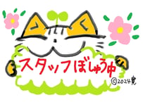 目が大きい猫の、スタッフ募集中