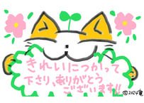 目が大きい猫の、きれいに使って下さりありがとうございます