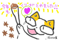 目が大きい猫の、今年もくりがとれました