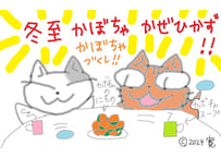 目が大きい猫の、冬至　かぼちゃ風邪ひかず
