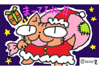 目が大きい猫の、クリスマスプレゼントまっててね