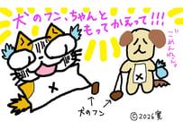 目が大きい猫の、犬のフンちゃんと持って帰って
