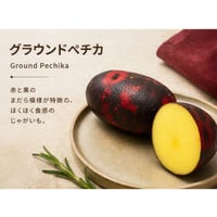 グランドペチカ（デストロイヤー）