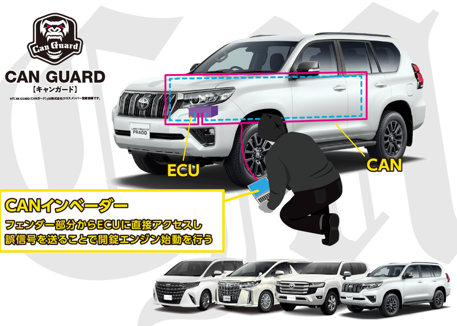 646f290c6e3db5002bce8118