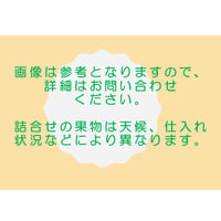 「厳選」果物詰め合わせ【4,000円】