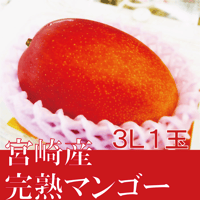 宮崎県産完熟マンゴー／３Ｌ１玉