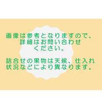 「厳選」果物詰め合わせ　ご要望に応じてお作りいたします。