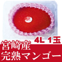 宮崎県産完熟マンゴー／４Ｌ１玉