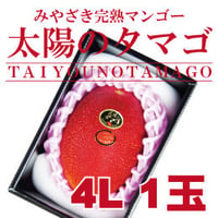 太陽のタマゴ／４Ｌ１玉　宮崎県産完熟マンゴー