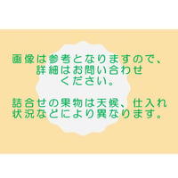 季節の果物詰め合わせ【6,000円】