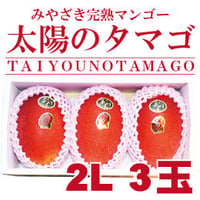 太陽のタマゴ／２Ｌ３玉　宮崎県産完熟マンゴー