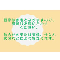 「厳選」果物詰め合わせ【5,000円】