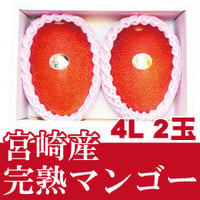 宮崎県産完熟マンゴー／４Ｌ２玉