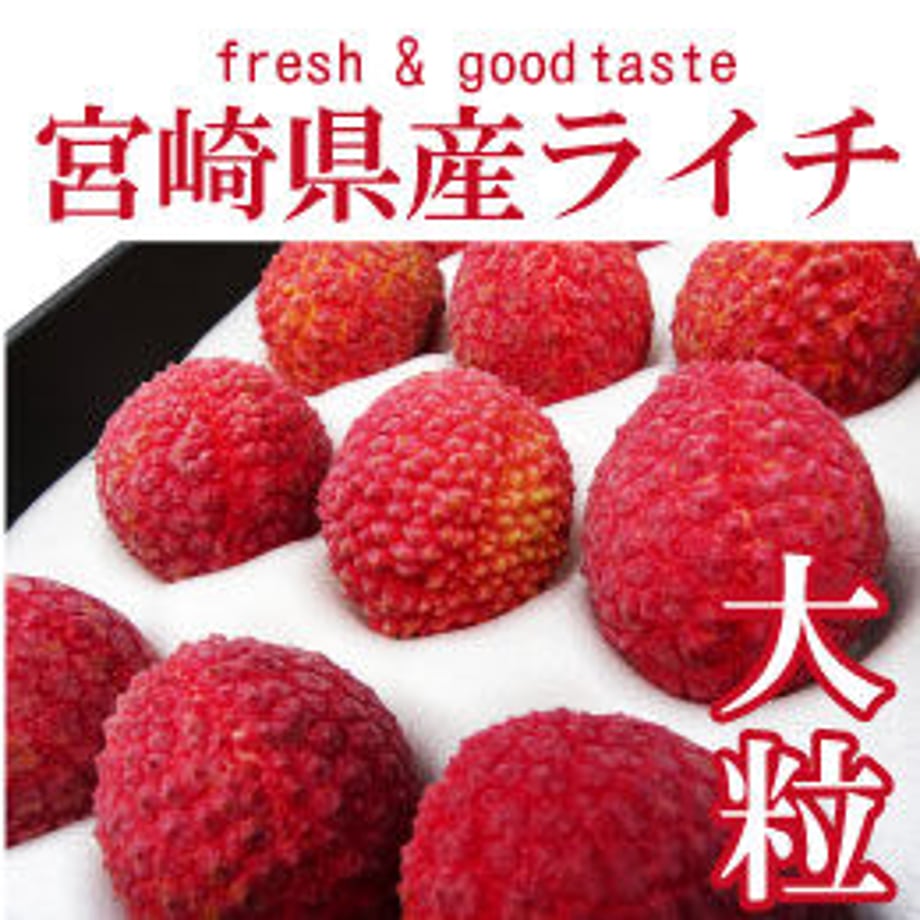 64f2e8cc4c27e800473b554f