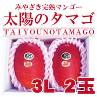 太陽のタマゴ／ ３Ｌ２玉　宮崎県産完熟マンゴー