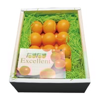 宮崎県産 完熟きんかん たまたまエクセレント ３Ｌ / １箱（約１kg）