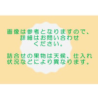 「厳選」果物詰め合わせ【7,000円】