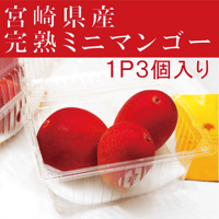 宮崎県産完熟ミニマンゴー／パック入り ３玉