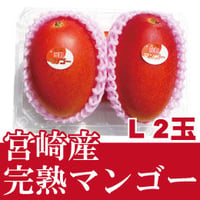 宮崎県産完熟マンゴー／ Ｌ２玉