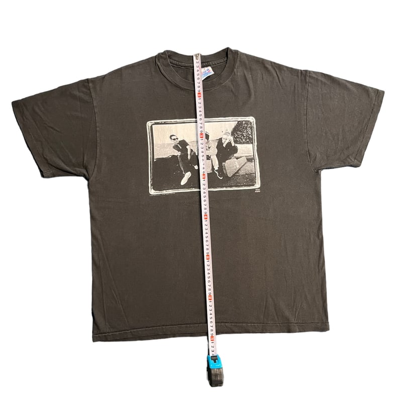 Beastie Boys チェック・ユア・ヘッド Tシャツ ヴィンテージ　L BEASTIE BOYS Tシャツ CHECK YOUR HEAD オフィシャル