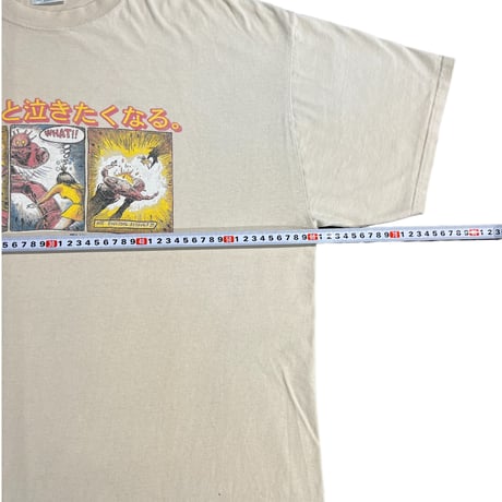 THE FLAMING LIPS T-shirt