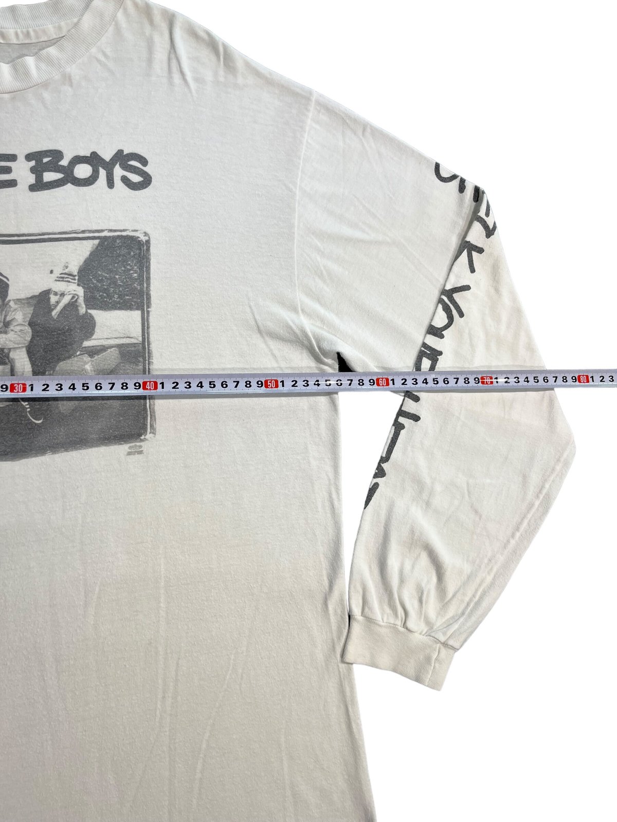 BEASTIE BOYS CHECK YOUR HEAD 90年代　ロンT レア BEASTIE BOYS T-shirt CHECK YOUR HEAD long sleev