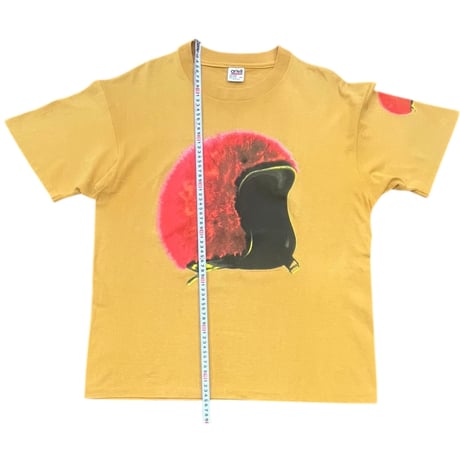 The Breeders cannonball tour T-shirt