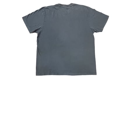 blur PARKLIFE T-shirt bootleg