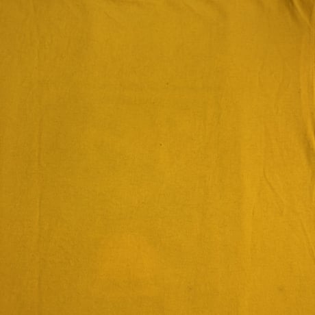 BAD BRAINS T-shirt