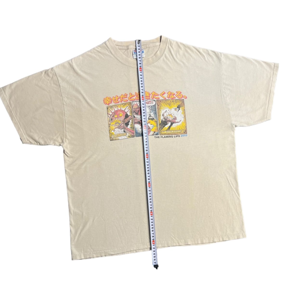 THE FLAMING LIPS T-shirt | DIRTY BOOTH