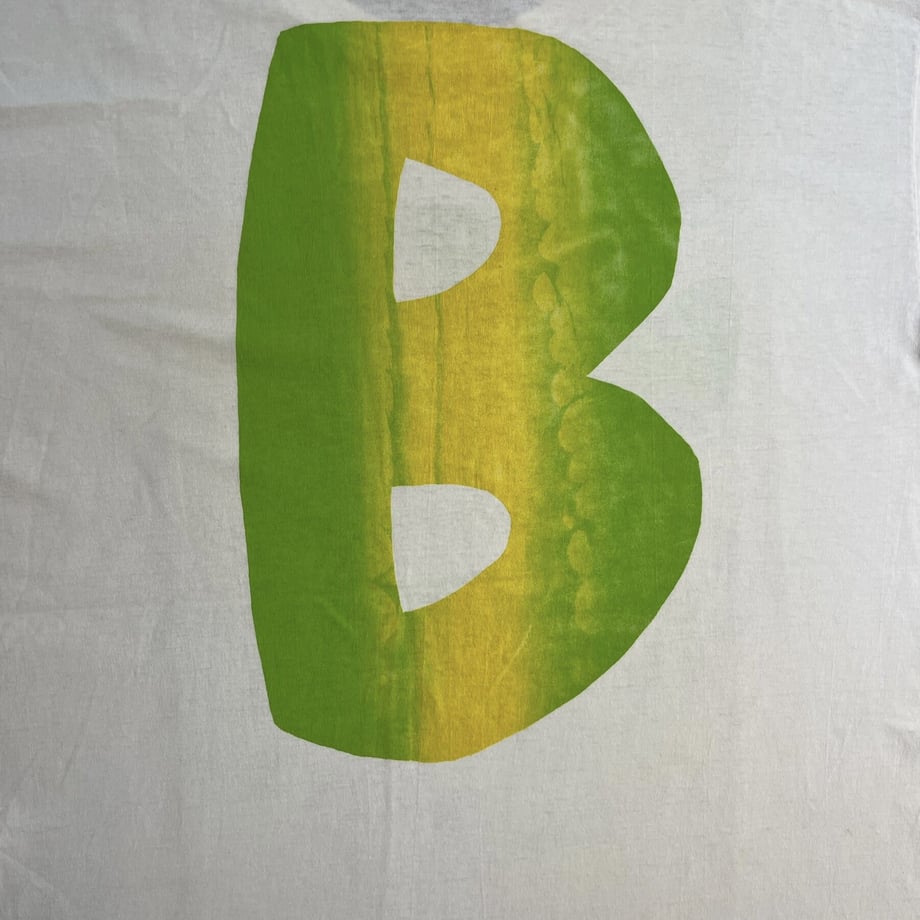 64b902fa035945004b345450