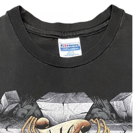 Alice in Chains BLEED THE FREAK T-shirt