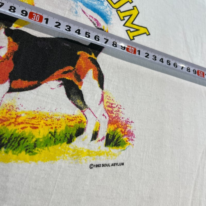 SOUL ASYLUM T-shirt | DIRTY BOOTH