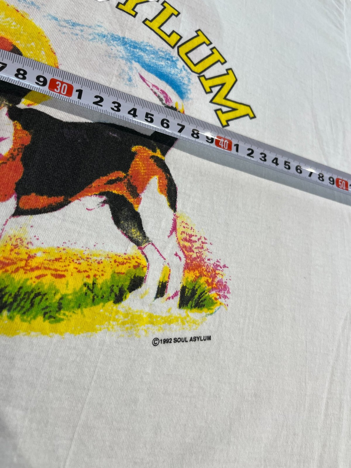 1992年 ソウル・アサイラム Soul Asylum UKツアーTシャツ