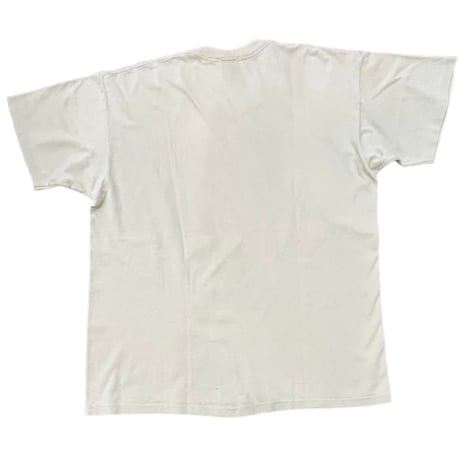 NIRVANA T-shirt INCESTICIDE