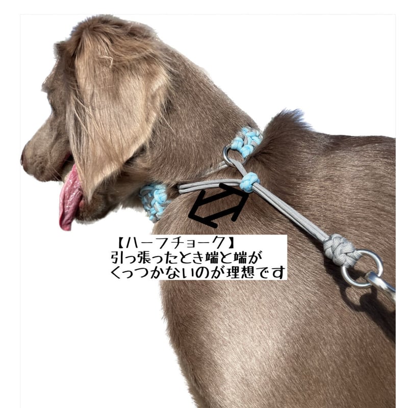 パラコード ハーフチョーク首輪&カフェリードセット[オーダー製作] 犬