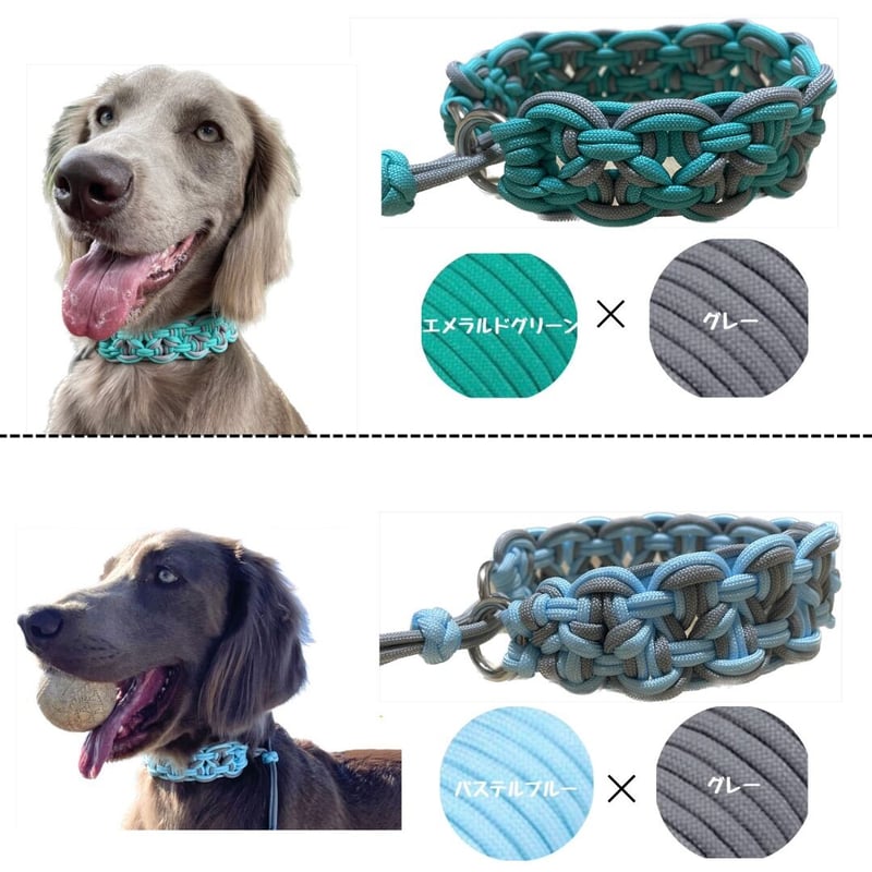 neighborhood 首輪　ブルー　犬 neighborhood 首輪 ブルー 犬 neighborhood 首輪ブルー犬