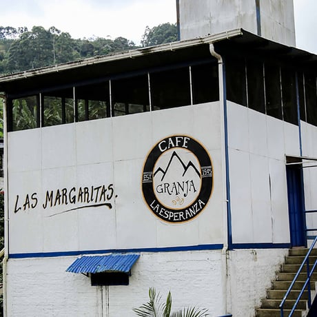 CGLE Las Margaritas Geisha 生豆