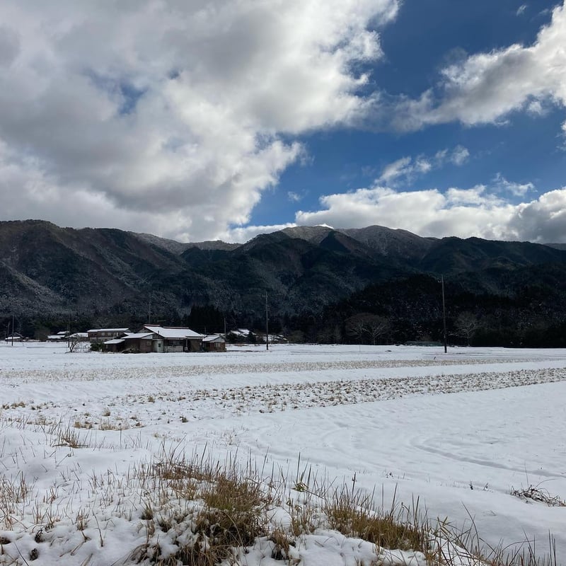 食糧庁長官賞受賞米】ふくふく米（山口県産コシヒカリ・白米）5㎏ | 笑顔のおかわり 小野商店